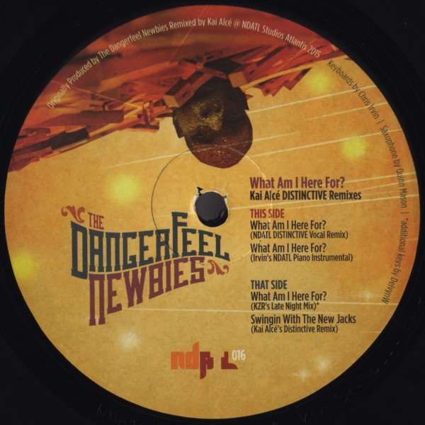 The Dangerfeel Newbies — What Am I Here For? (Kai Alcé DISTINCTIVE Remixes)
